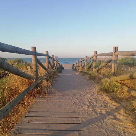 Pilar Solo Familias * Gandia